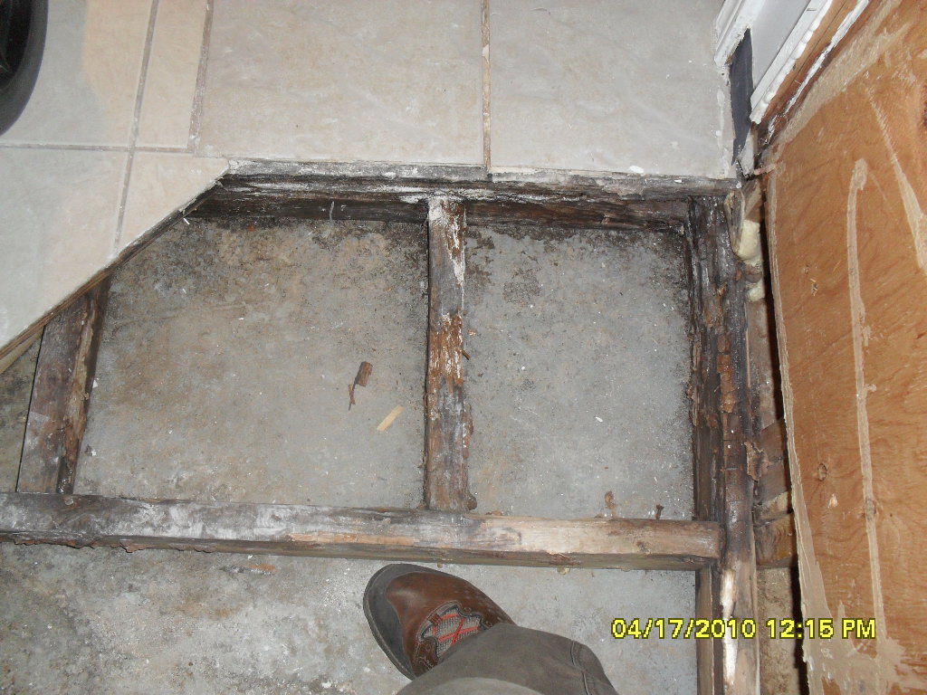 Mold Under Tiles from Water Damage