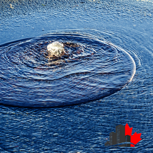 sewage backup cleanup Toronto