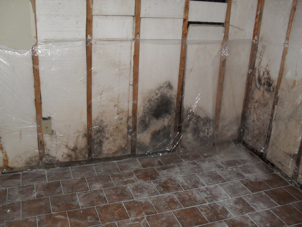 Water Damage Causes Mold