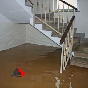 water damage Toronto