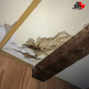 water damage Toronto